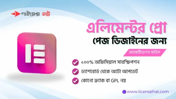 এলিমেন্টর প্রো ওয়েবসাইট কাস্টমাইজেশন টুল